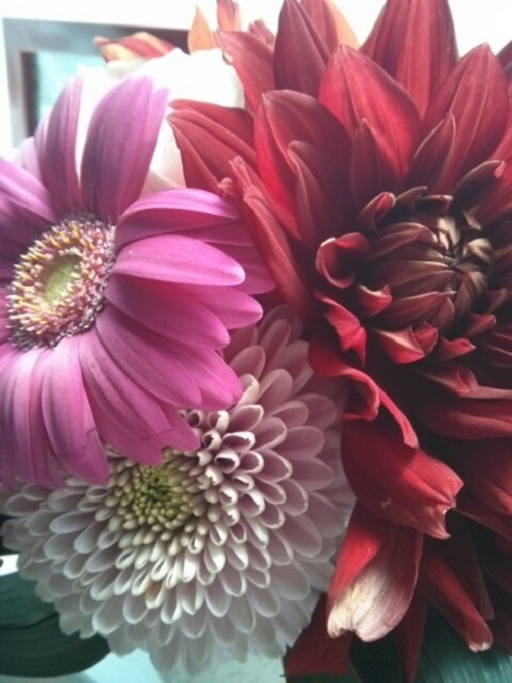 レビュアーのカバー画像