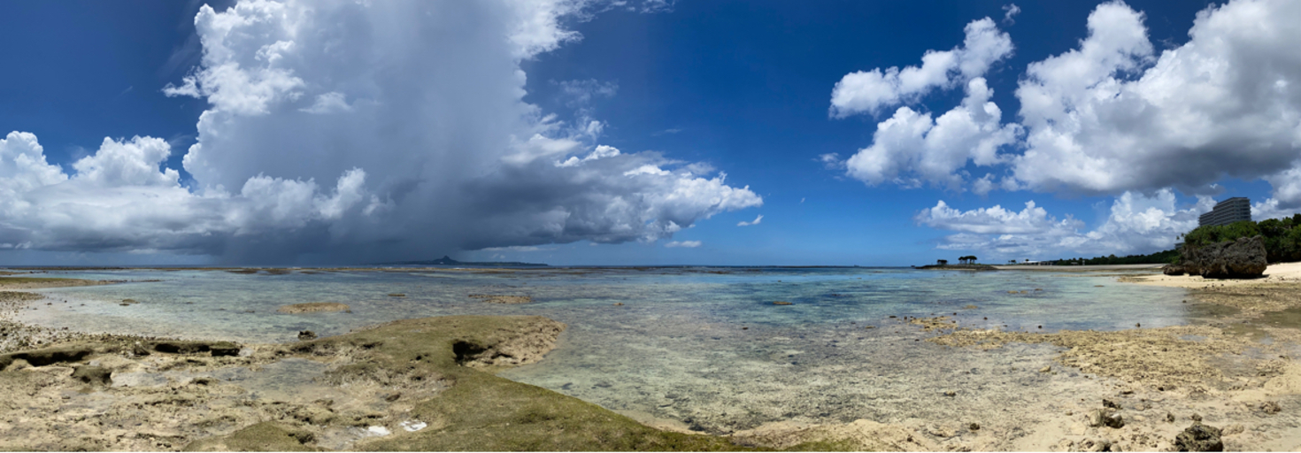 レビュアーのカバー画像