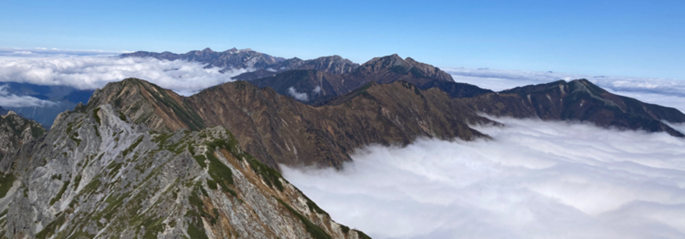 レビュアーのカバー画像