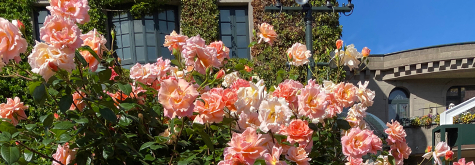 レビュアーのカバー画像