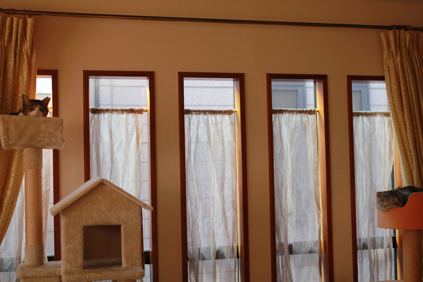 レビュアーのカバー画像