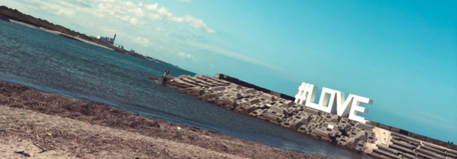 レビュアーのカバー画像