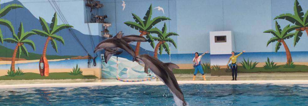 レビュアーのカバー画像