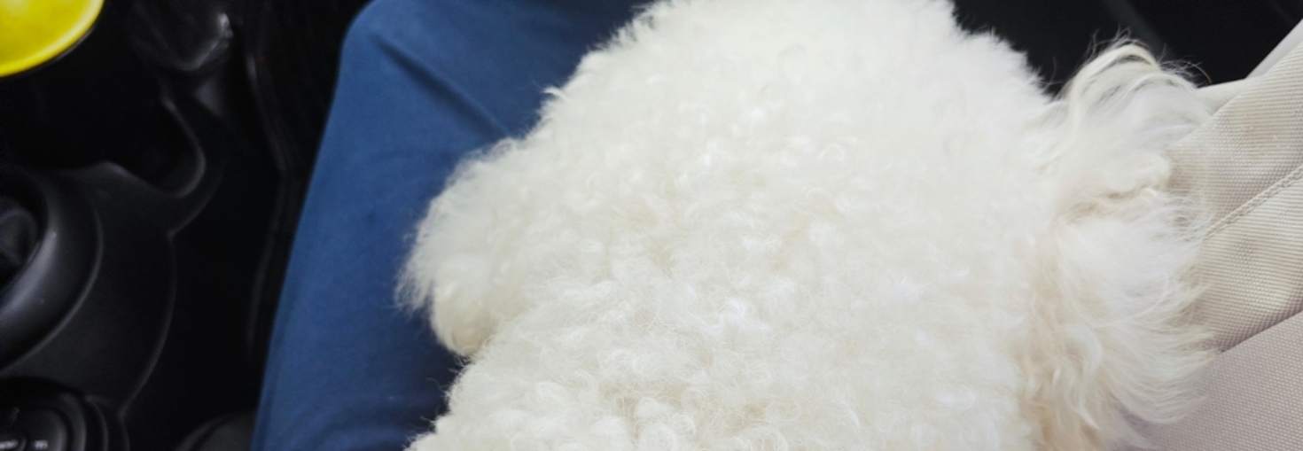 レビュアーのカバー画像