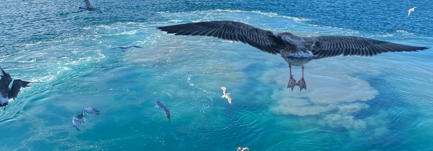 レビュアーのカバー画像