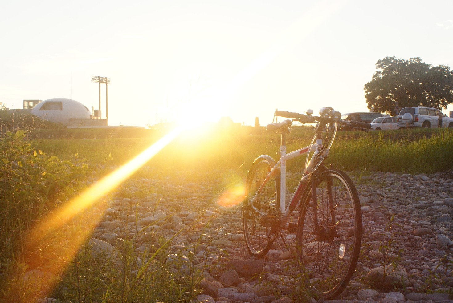 レビュアーのカバー画像