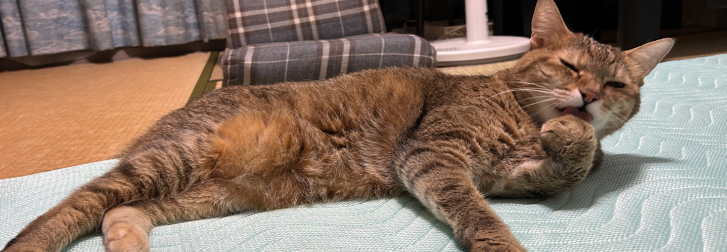 レビュアーのカバー画像