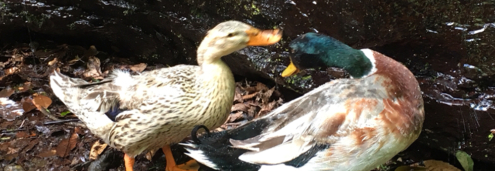 レビュアーのカバー画像