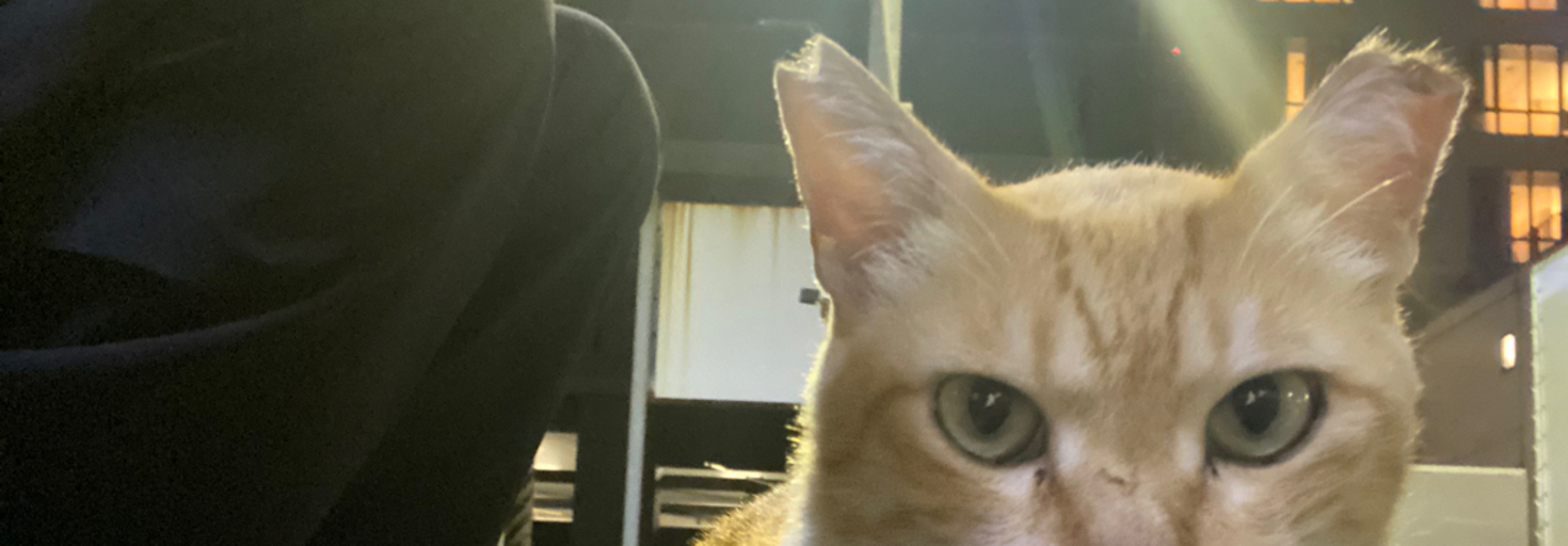 レビュアーのカバー画像