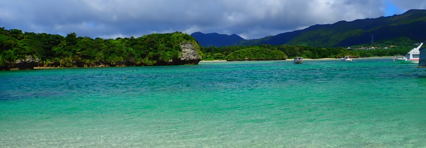 レビュアーのカバー画像