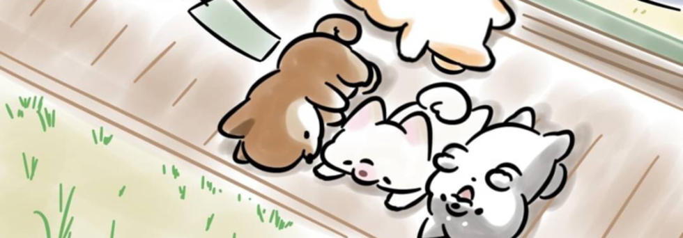 レビュアーのカバー画像