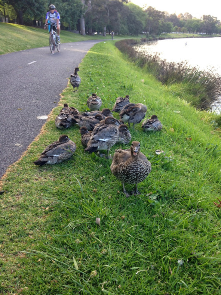 レビュアーのカバー画像