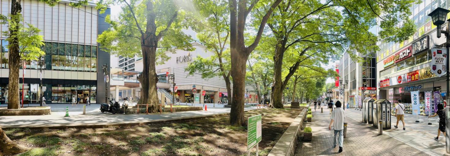 レビュアーのカバー画像