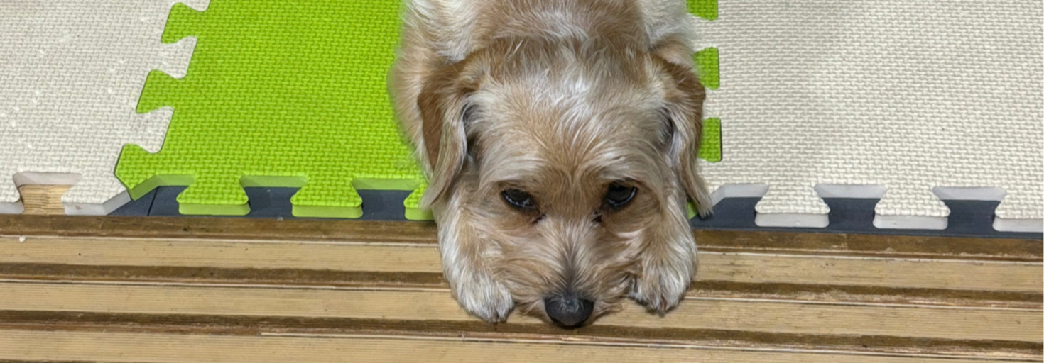 レビュアーのカバー画像