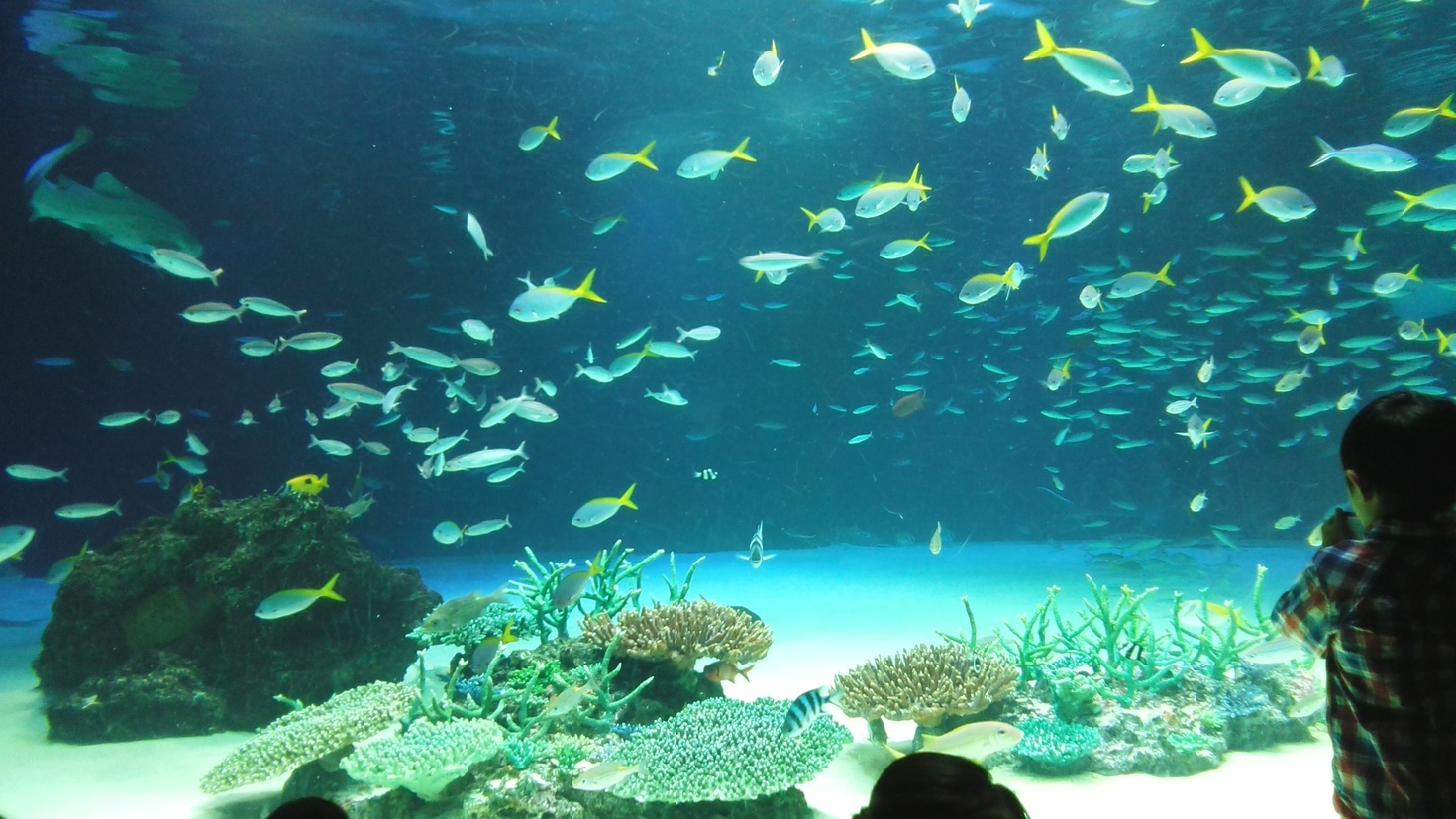 レビュアーのカバー画像