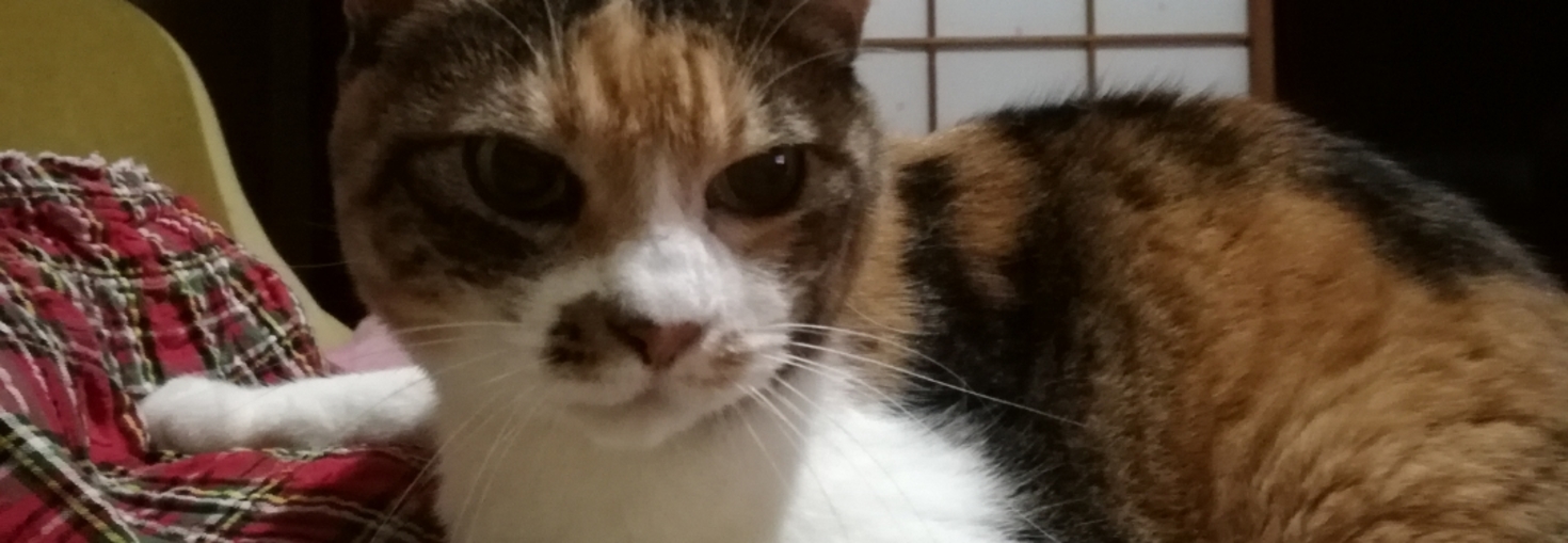 レビュアーのカバー画像