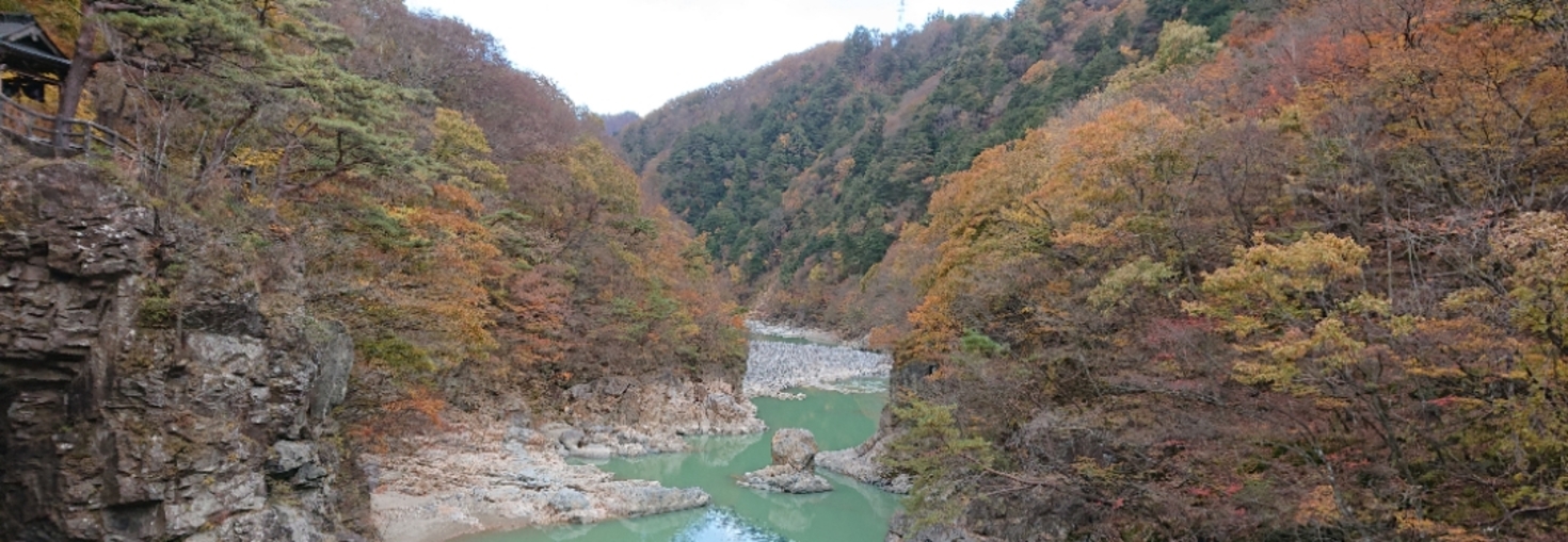 レビュアーのカバー画像