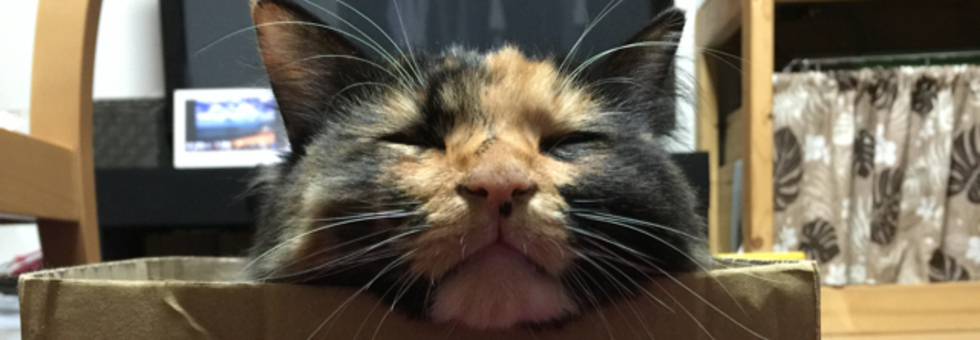 レビュアーのカバー画像