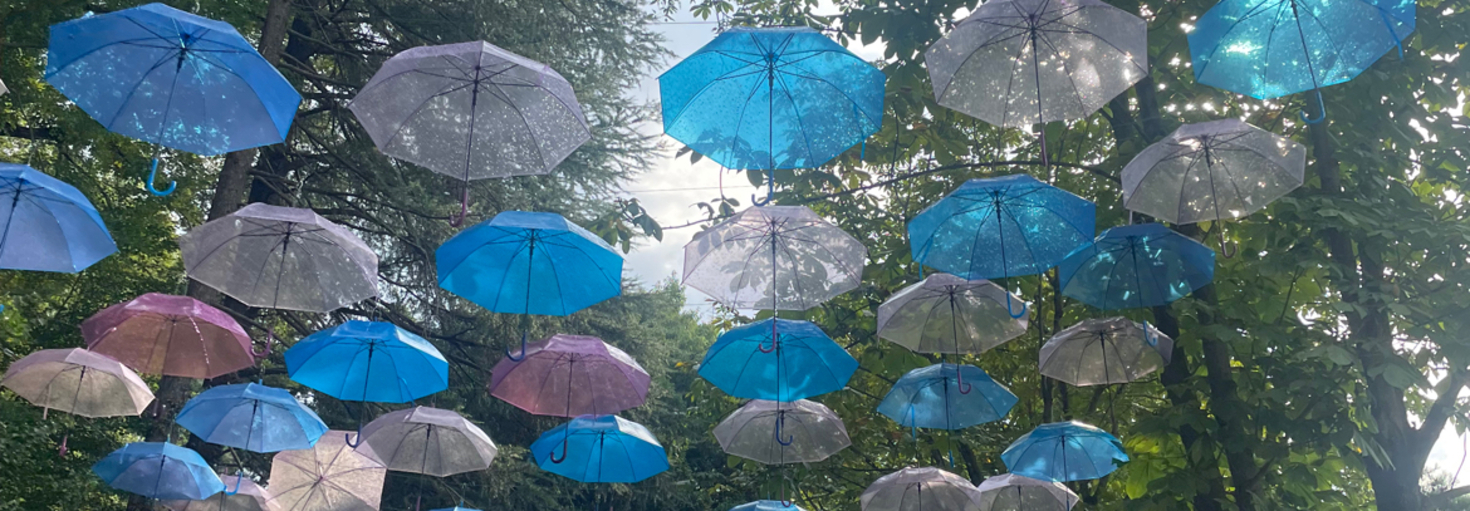 レビュアーのカバー画像