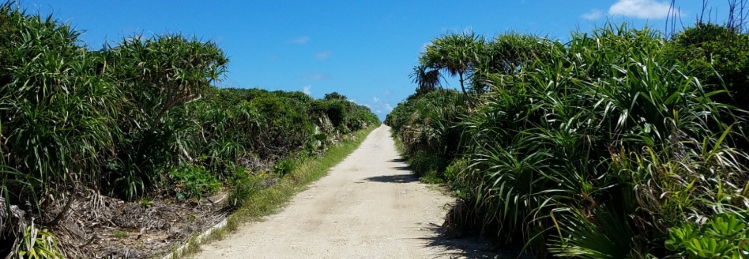 レビュアーのカバー画像