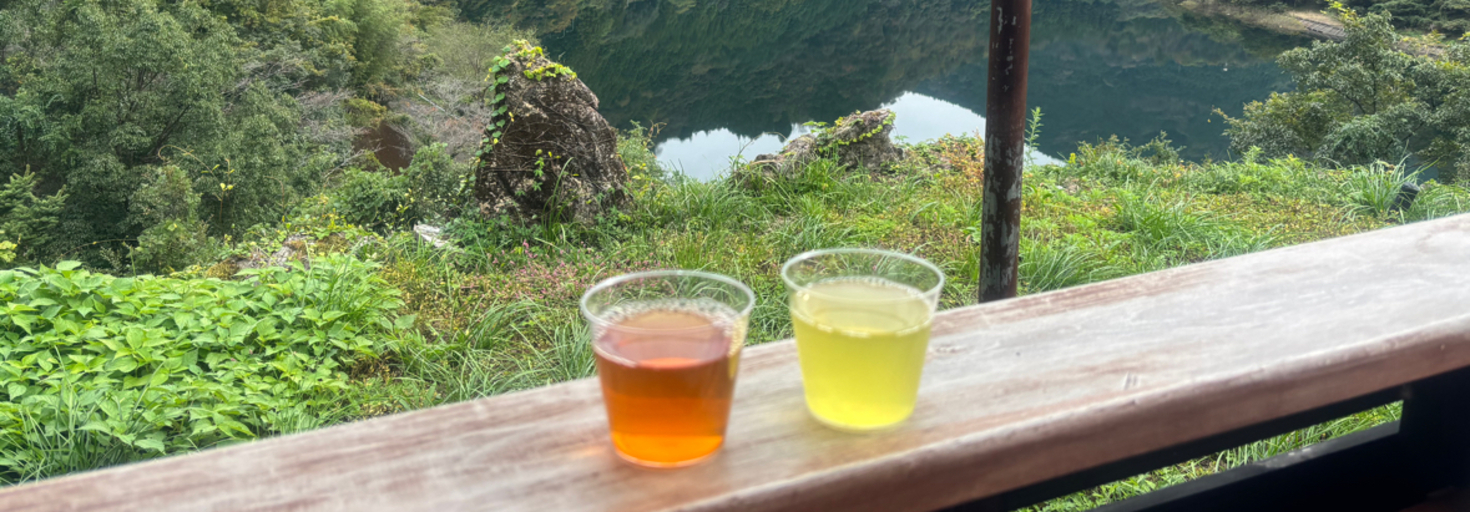 レビュアーのカバー画像