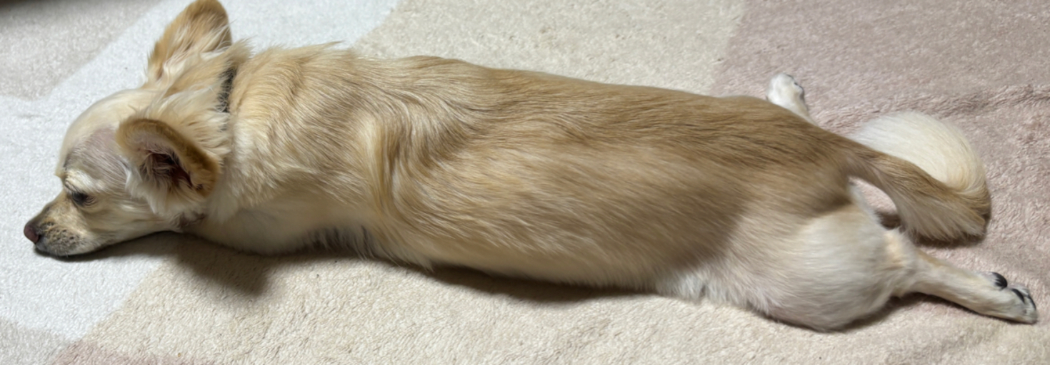 レビュアーのカバー画像