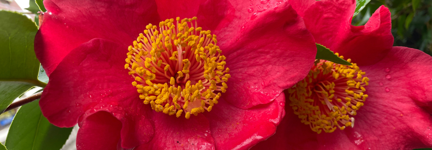 レビュアーのカバー画像