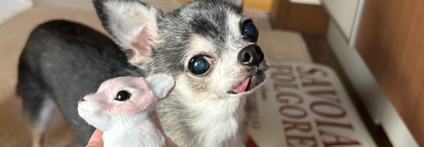 レビュアーのカバー画像