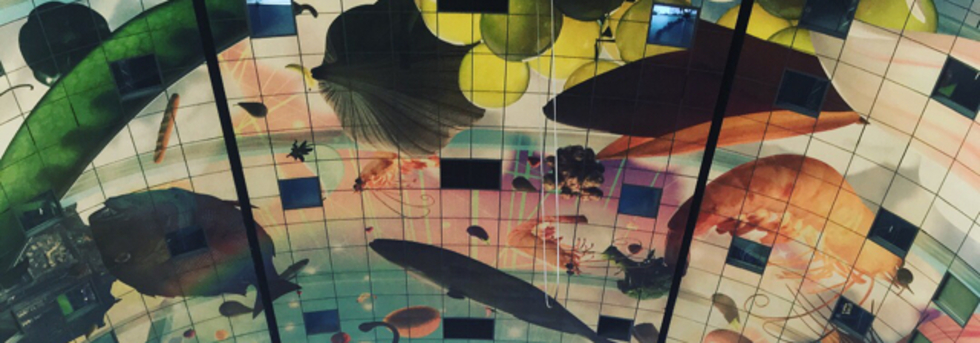 レビュアーのカバー画像