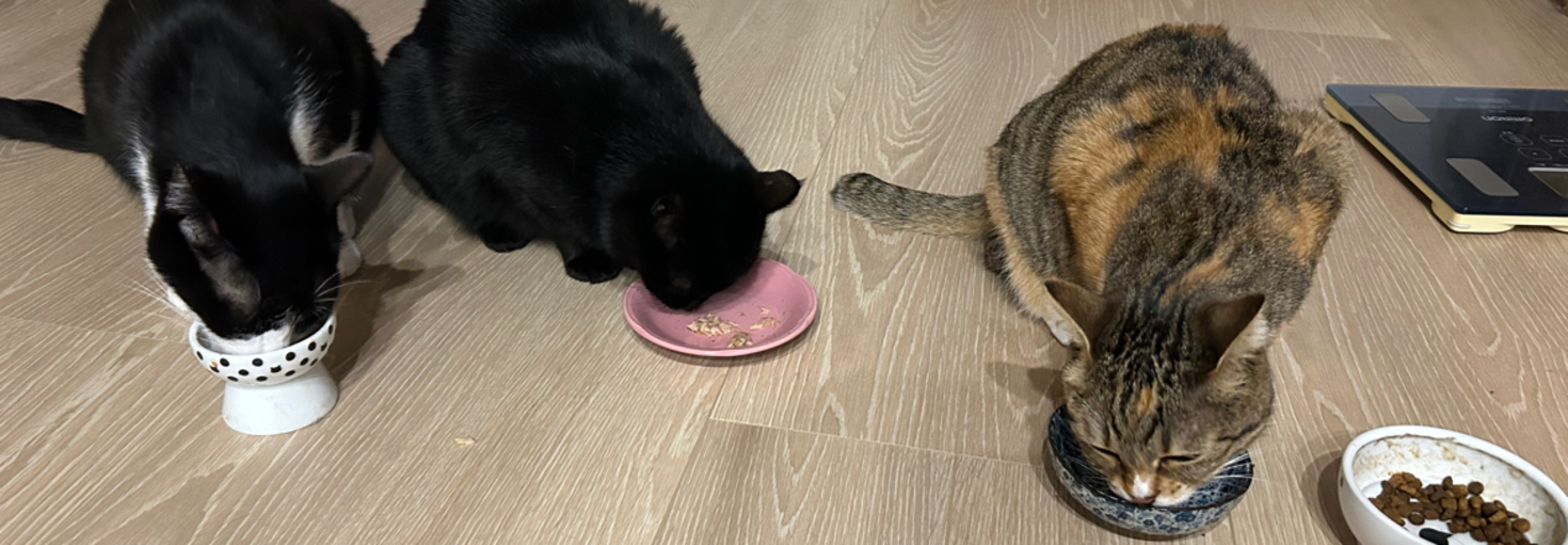 レビュアーのカバー画像