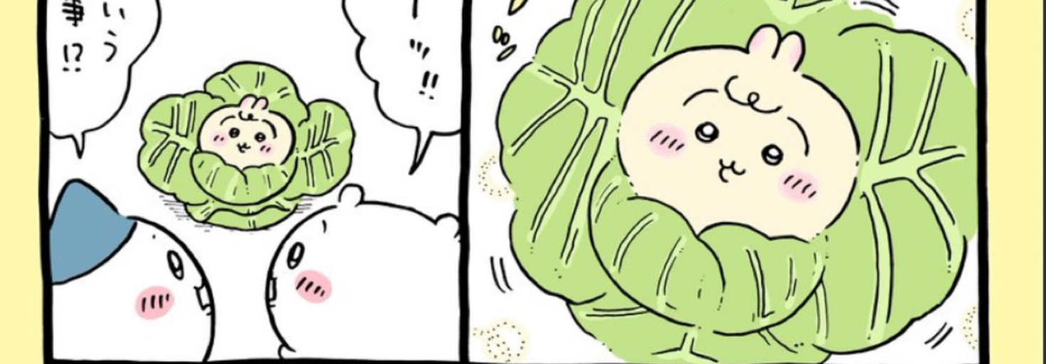 レビュアーのカバー画像