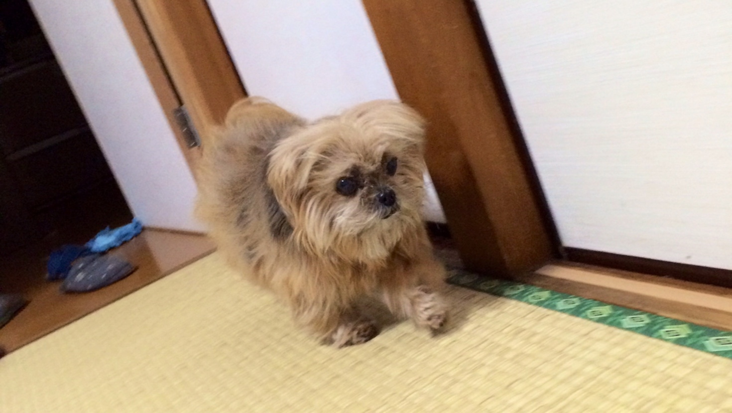 レビュアーのカバー画像