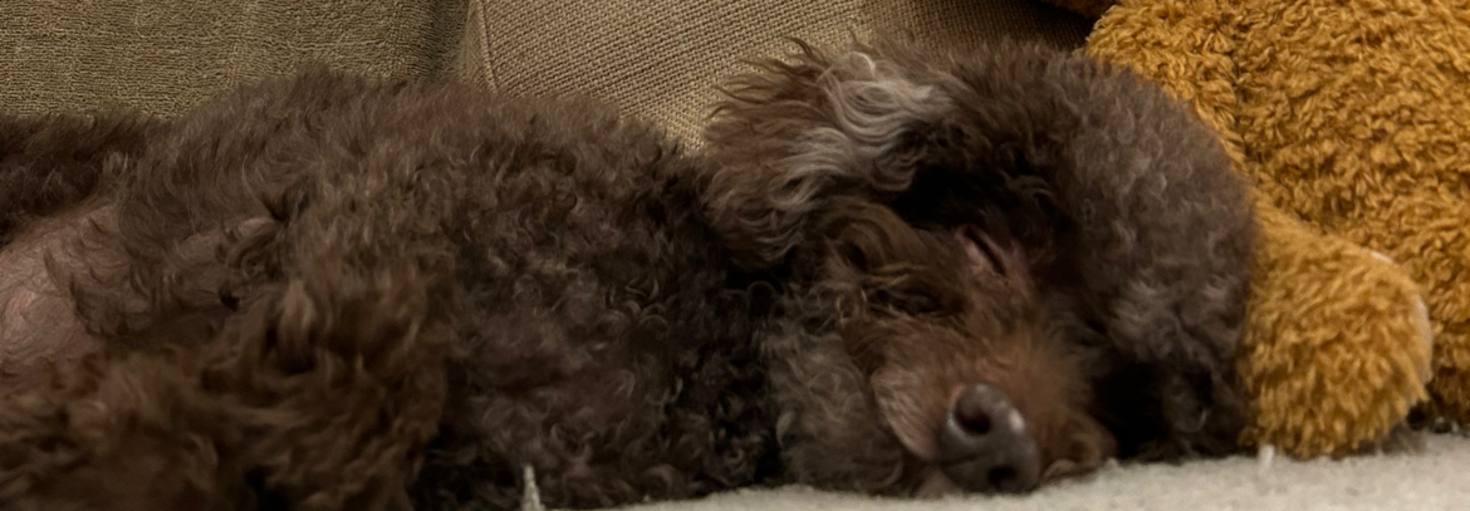 レビュアーのカバー画像