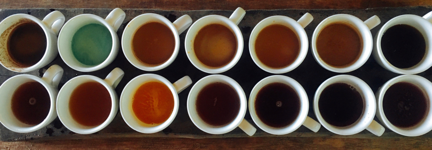 レビュアーのカバー画像