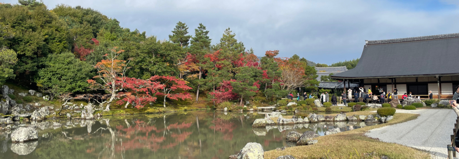 レビュアーのカバー画像