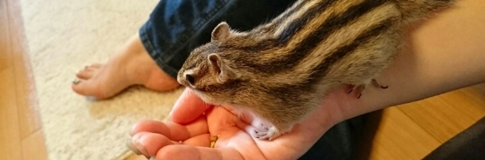 レビュアーのカバー画像