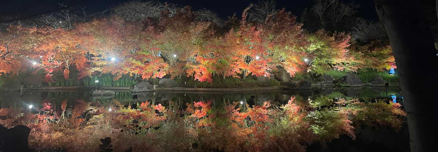 レビュアーのカバー画像