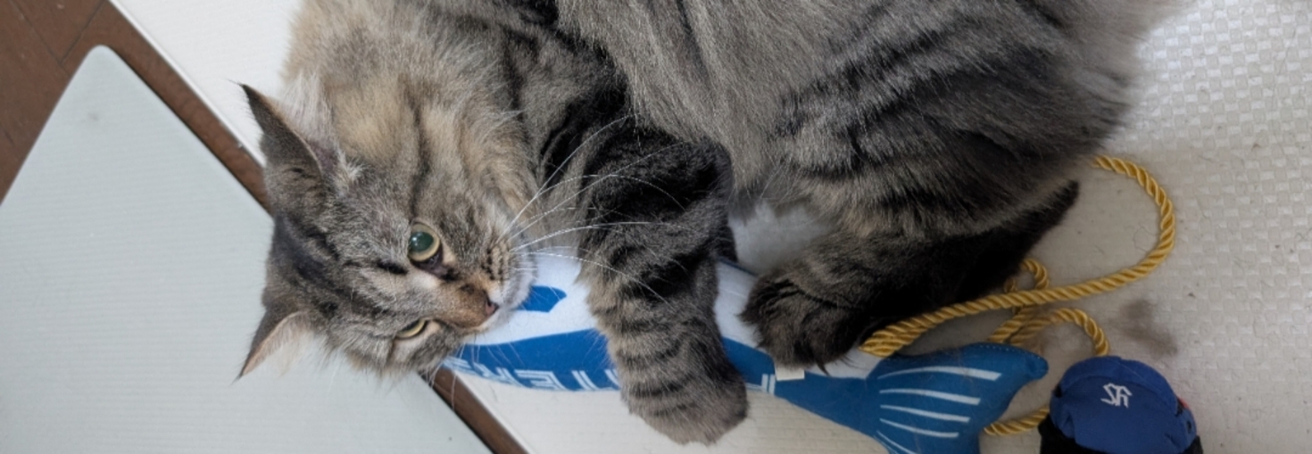 レビュアーのカバー画像