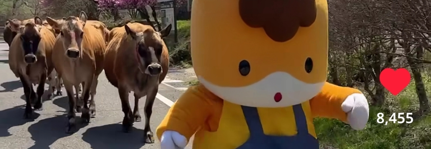 レビュアーのカバー画像