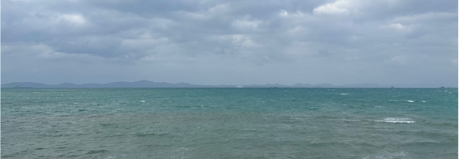 レビュアーのカバー画像