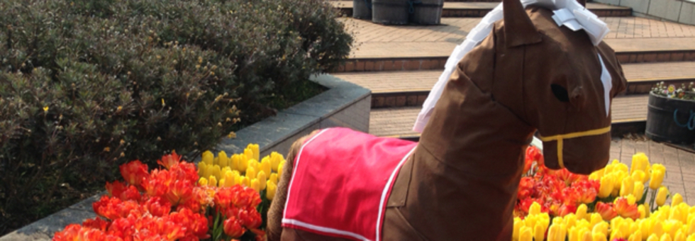 レビュアーのカバー画像