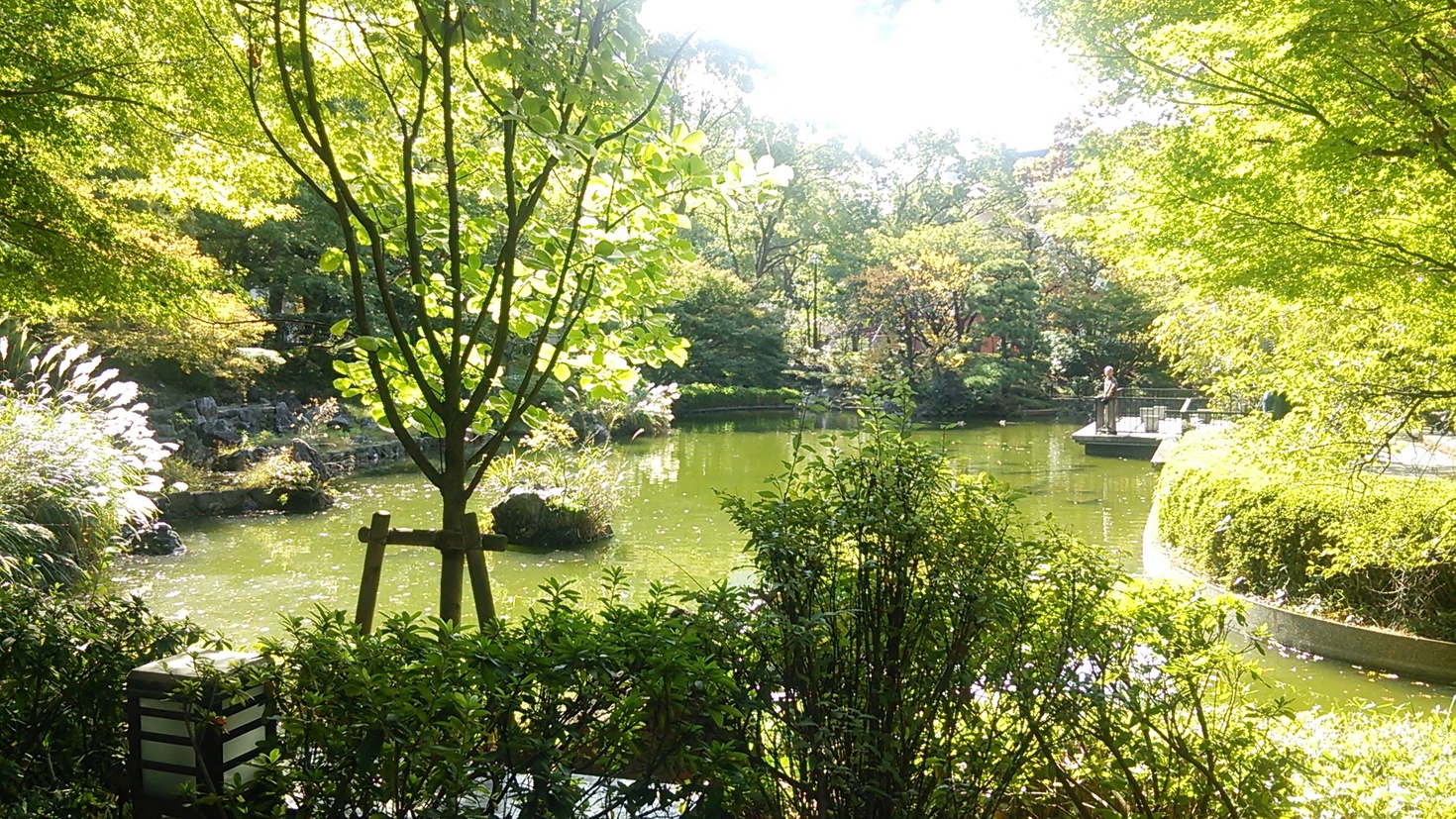 レビュアーのカバー画像