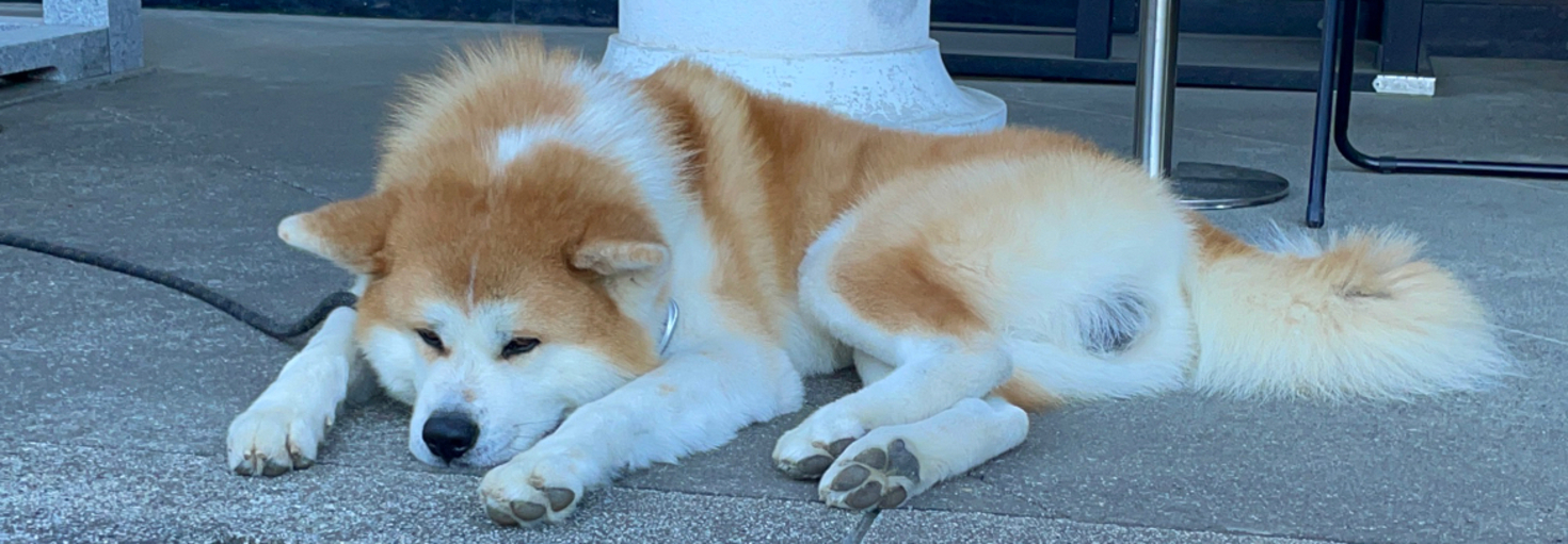 レビュアーのカバー画像