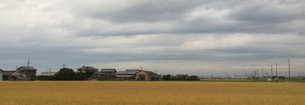 レビュアーのカバー画像