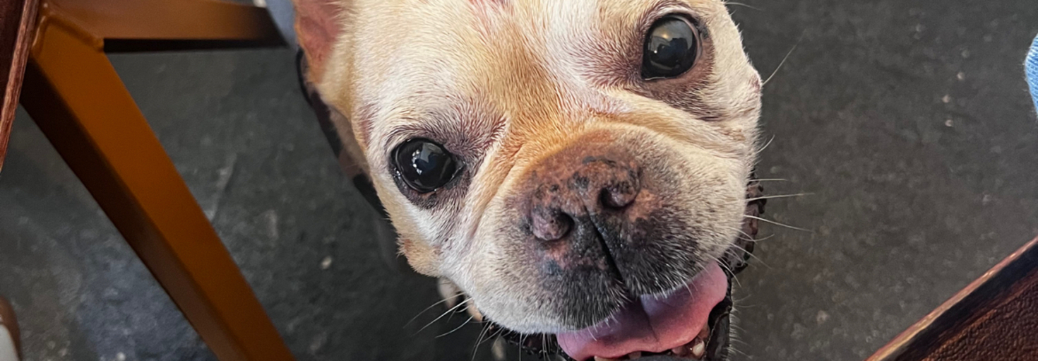 レビュアーのカバー画像