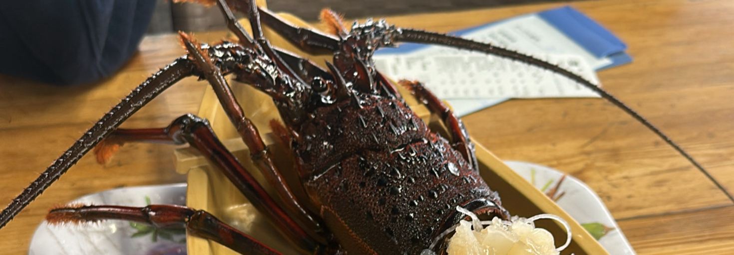 レビュアーのカバー画像