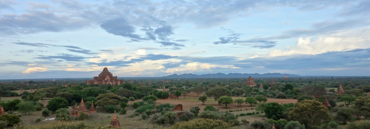 レビュアーのカバー画像