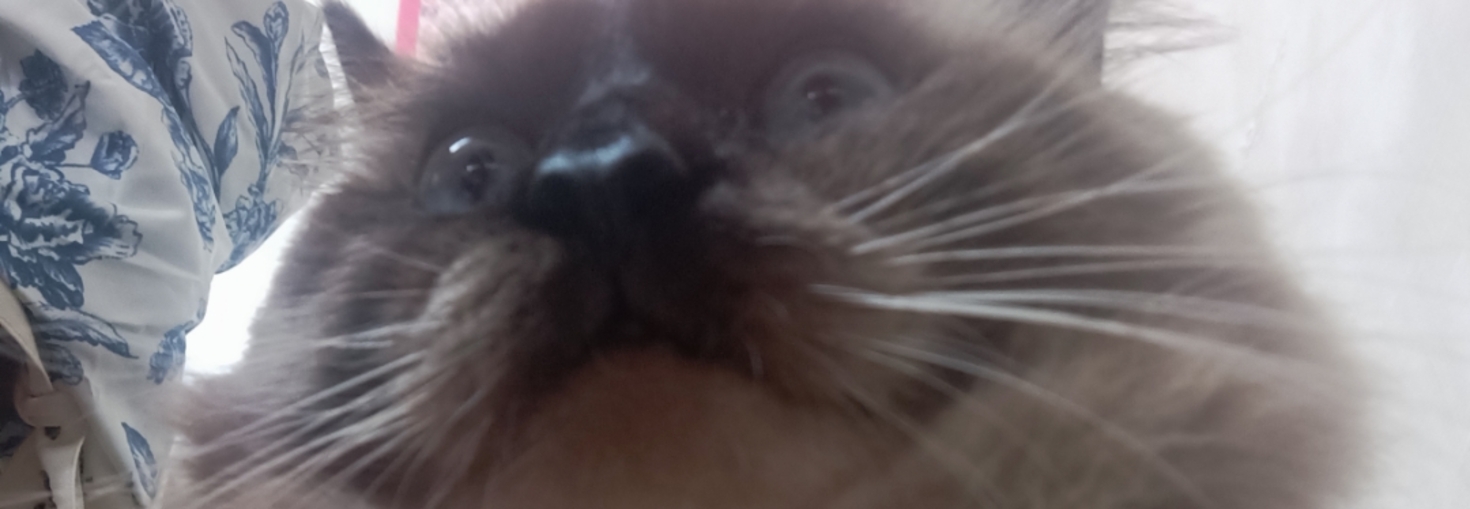 レビュアーのカバー画像