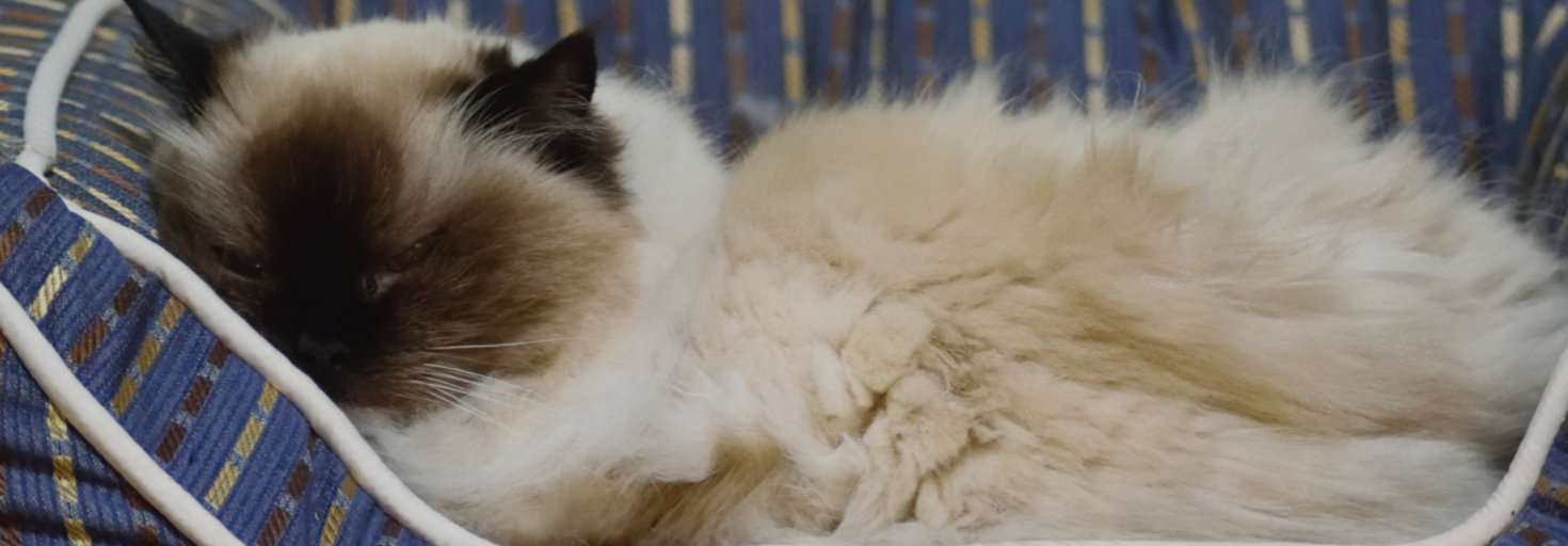 レビュアーのカバー画像