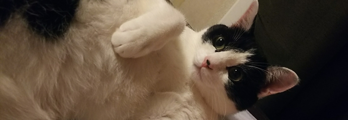 レビュアーのカバー画像